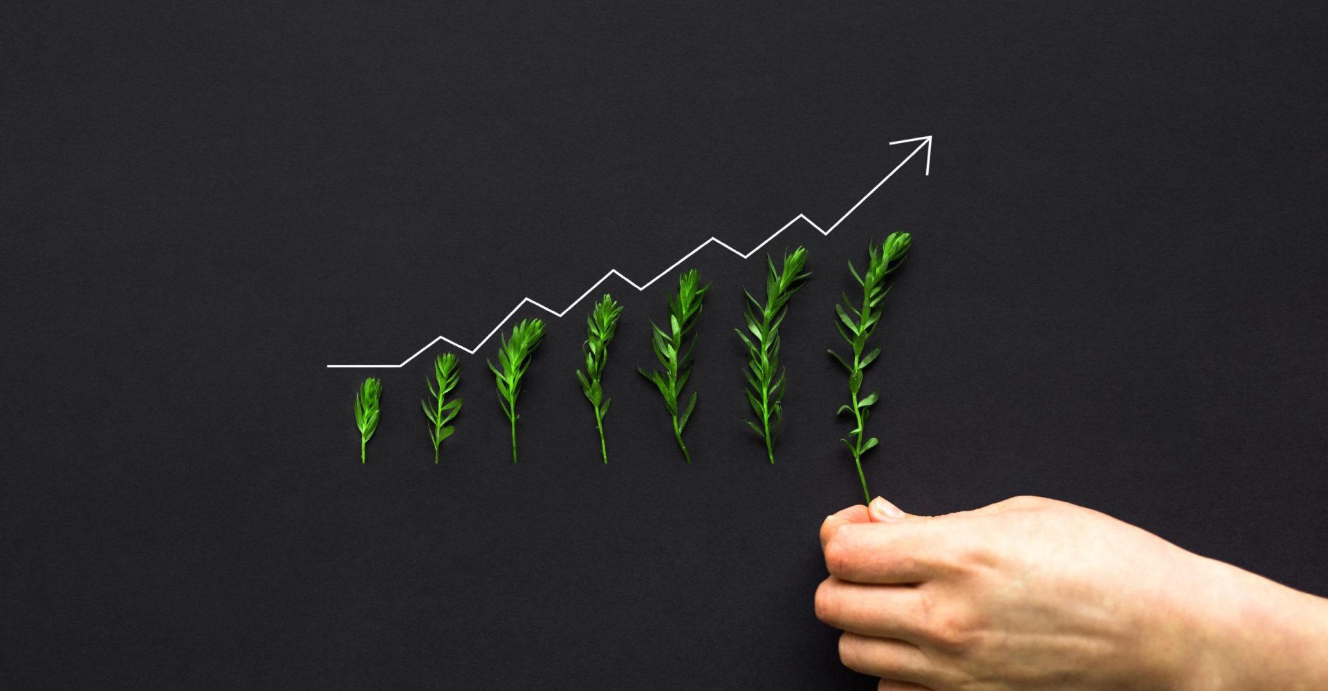 hand-businesswoman-putting-growing-plants-with-increase-chart